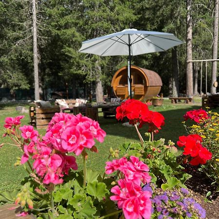 Wildhomes Wild Wolf Lodge Courmayeur Eksteriør billede