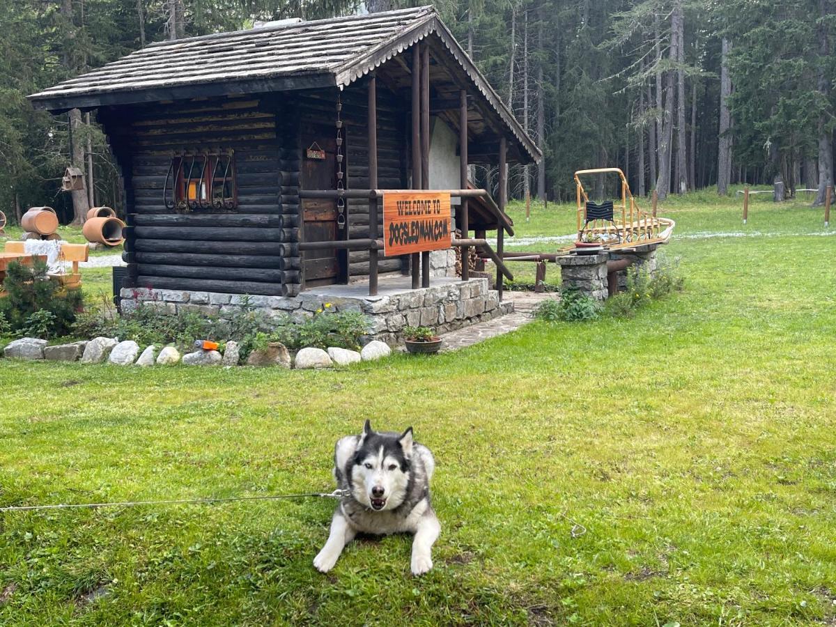 Wildhomes Wild Wolf Lodge Courmayeur Eksteriør billede