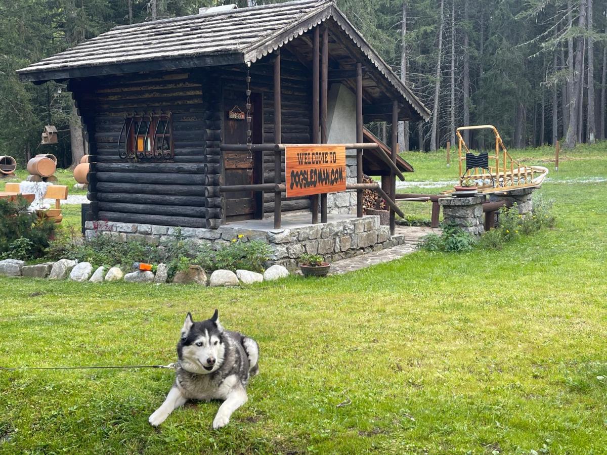 Wildhomes Wild Wolf Lodge Courmayeur Eksteriør billede