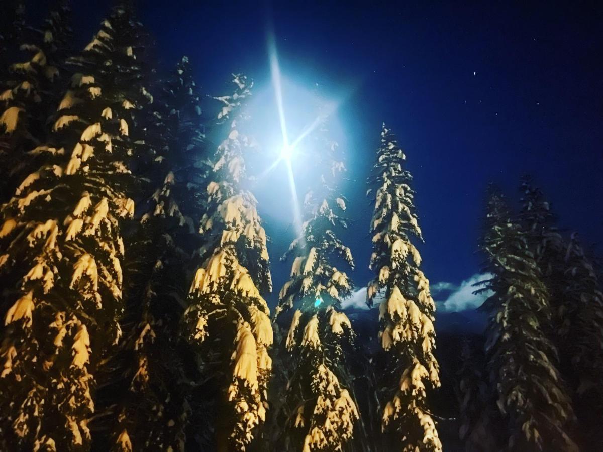Wildhomes Wild Wolf Lodge Courmayeur Eksteriør billede