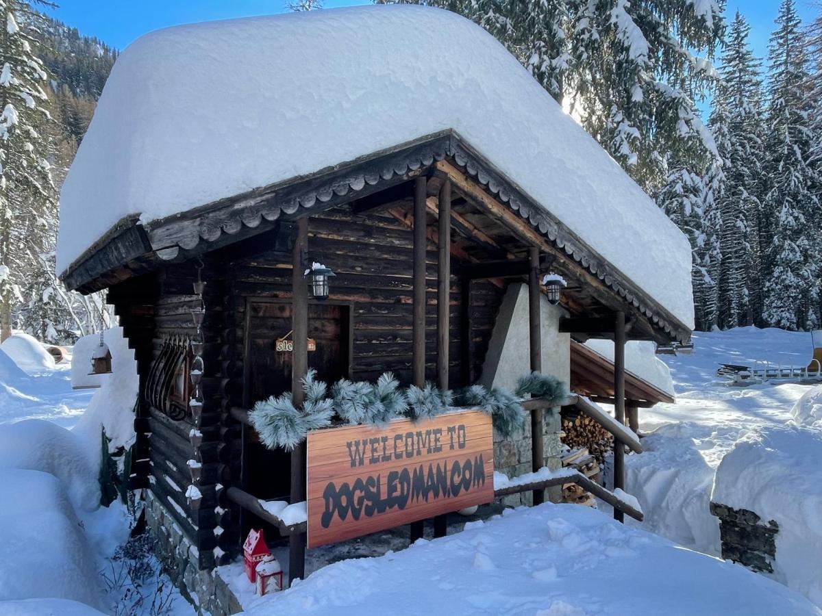 Wildhomes Wild Wolf Lodge Courmayeur Eksteriør billede