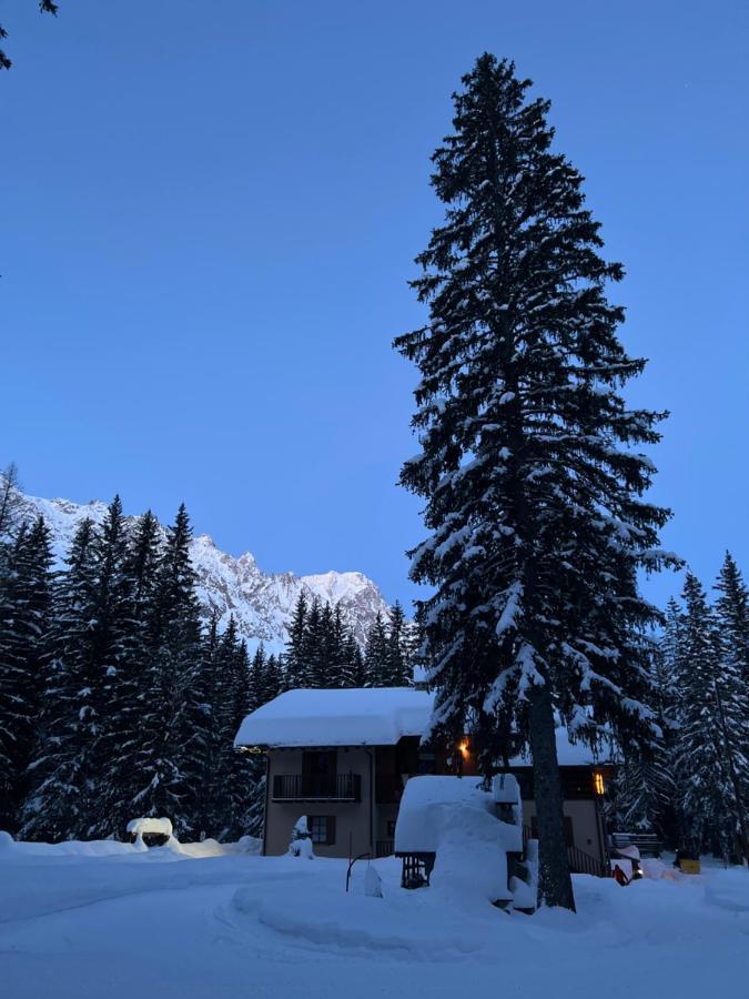 Wildhomes Wild Wolf Lodge Courmayeur Eksteriør billede