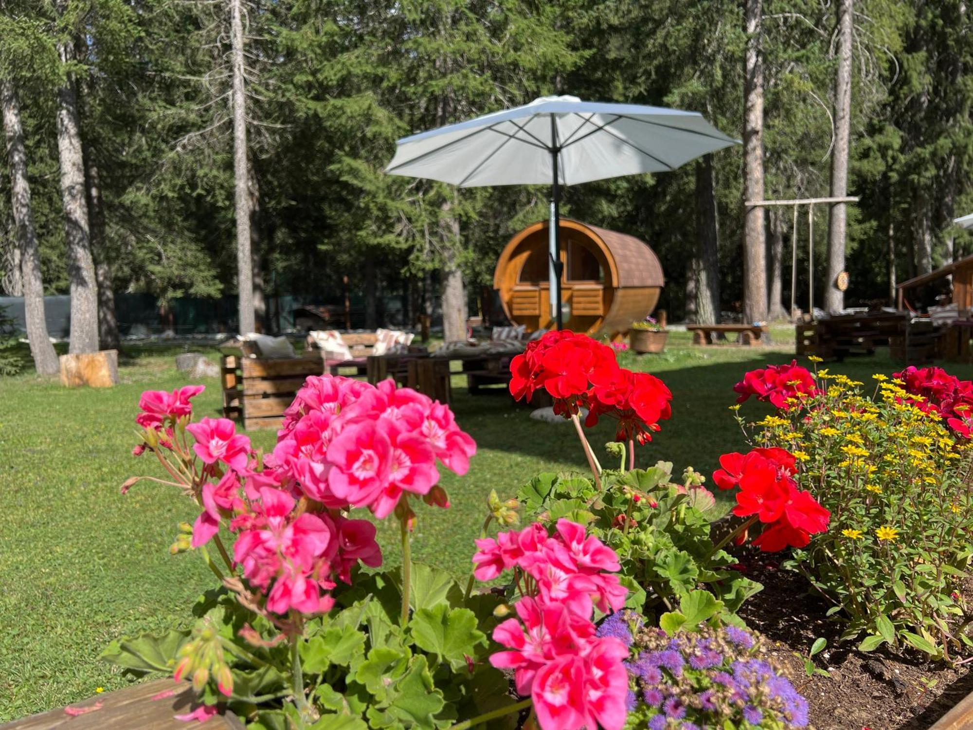 Wildhomes Wild Wolf Lodge Courmayeur Eksteriør billede