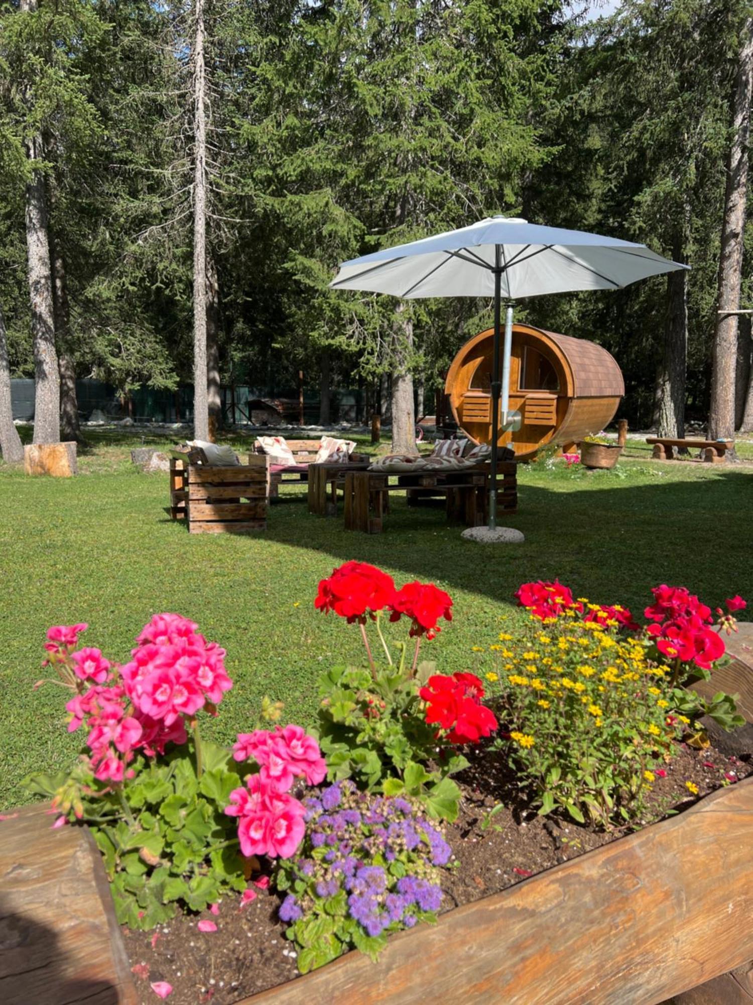 Wildhomes Wild Wolf Lodge Courmayeur Eksteriør billede